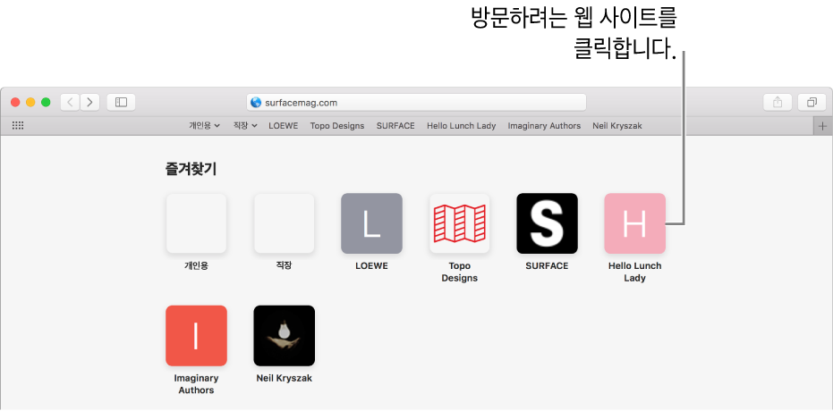 Safari 주소 필드와 검색 필드가 있고 그 아래에 즐겨찾는 웹 사이트의 아이콘.