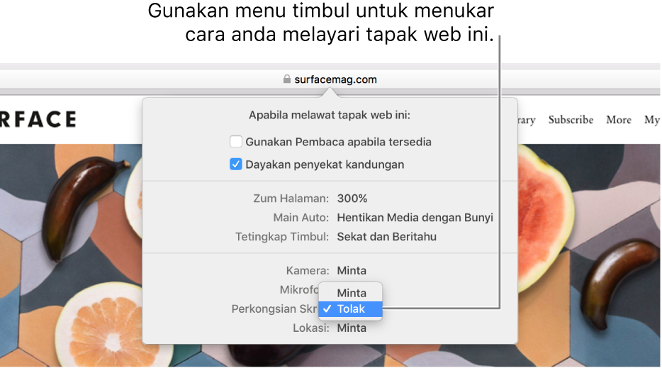 Dialog yang muncul di bawah medan Carian Pintar apabila anda memilih Safari > Seting untuk Tapak Web Ini. Dialog mengandungi pilihan untuk menyesuaikan cara anda melayari tapak web semasa, termasuk menggunakan paparan Pembaca, mendayakan penyekat kandungan dan banyak lagi.