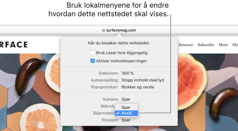 Dialogruten som vises nedenfor det smarte søkefeltet når du velger Safari > Innstillinger for dette nettstedet. Dialogruten inneholder valg for tilpassing av surfing på gjeldende nettsted, inkludert bruk av Leser-visning, aktivering av innholdssperringer og annet.