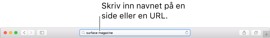 Det smarte søkefeltet i Safari, der du kan skrive inn en sides navn eller URL.