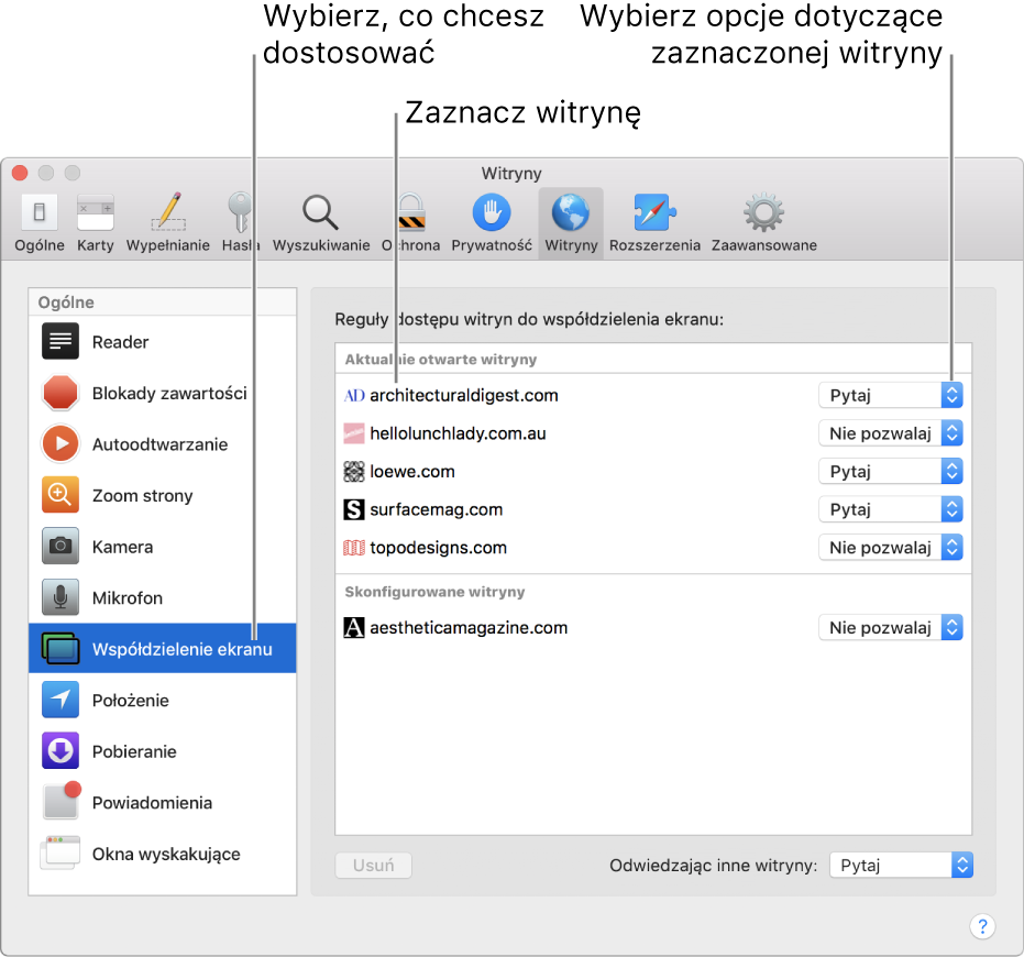 Panel Witryny w preferencjach Safari, pozwalający na dostosowywanie sposobu przeglądania poszczególnych witryn.