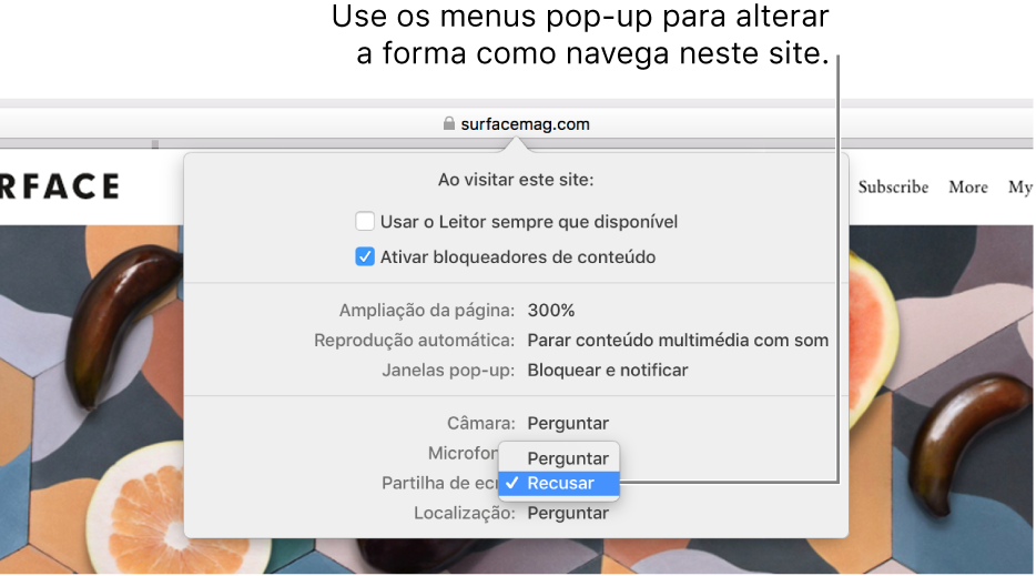 A caixa de diálogo que aparece por baixo do campo de pesquisa inteligente quando seleciona Safari > “Definições deste site”. A caixa de diálogo contém opções para personalizar como navega no site atual, incluindo a vista do Leitor, ativar bloqueadores de conteúdo, etc.