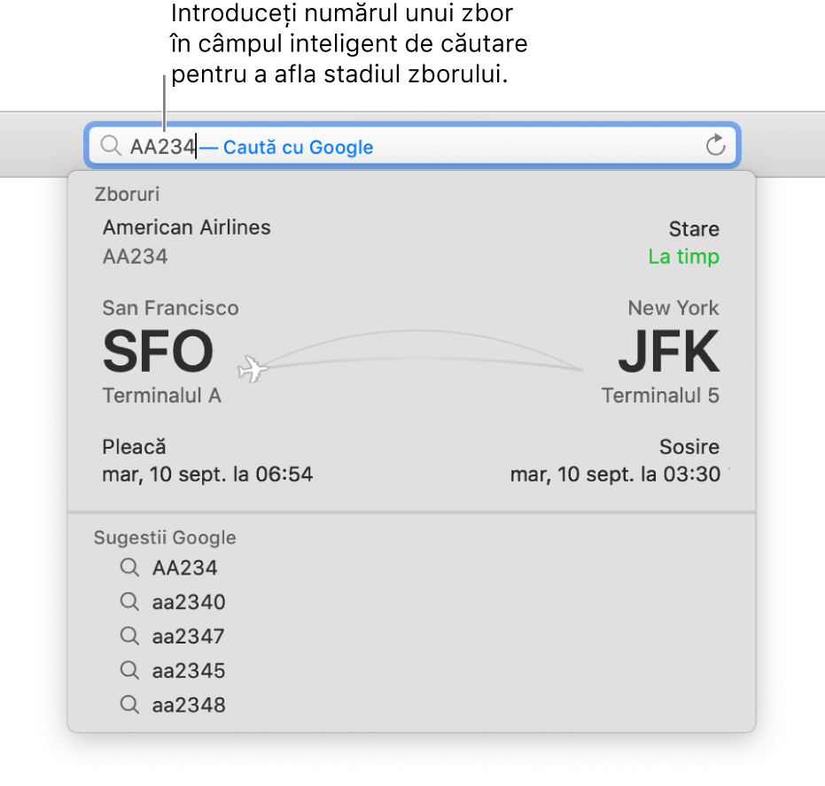 Un număr de zbor introdus în câmpul inteligent de căutare, cu starea zborului afișată imediat dedesubt.