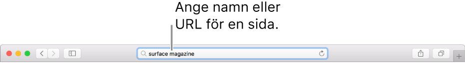 Safaris smarta sökfält där du kan ange en sidas namn eller URL.