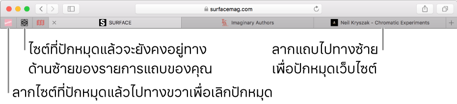 ไซต์ที่ปักหมุดในรายการแถบ Safari