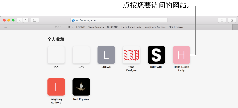 Safari 浏览器地址和搜索栏；其下方是个人收藏网站的图标。