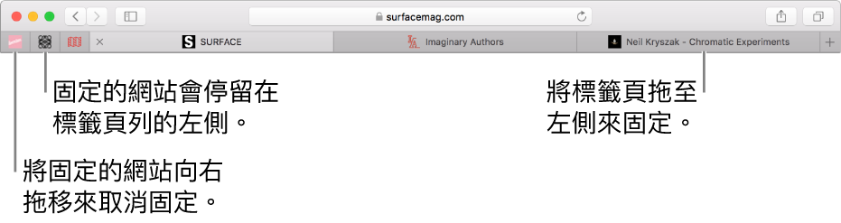 位於 Safari 標籤頁列中的固定的網站。