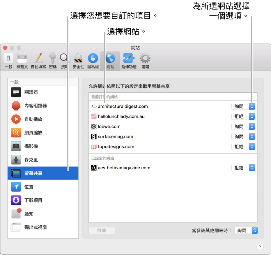Safari 偏好設定的「網站」面板，您可以在此自訂個別網站的瀏覽方式。