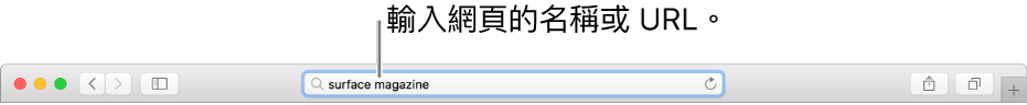 Safari「智慧型搜尋」欄位，您可在其中輸入頁面的名稱或 URL。