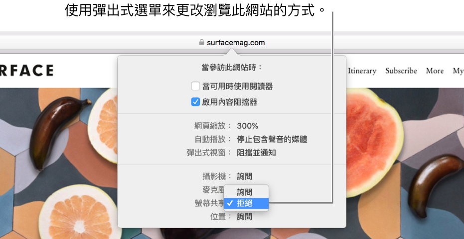 當您選擇 Safari >「此網站的設定」時，顯示在「智慧型搜尋」欄位下方的對話框。對話框中包含選項，可讓您自訂如何瀏覽目前的網站，包含使用「閱讀器」顯示方式、啟用內容阻擋器等。