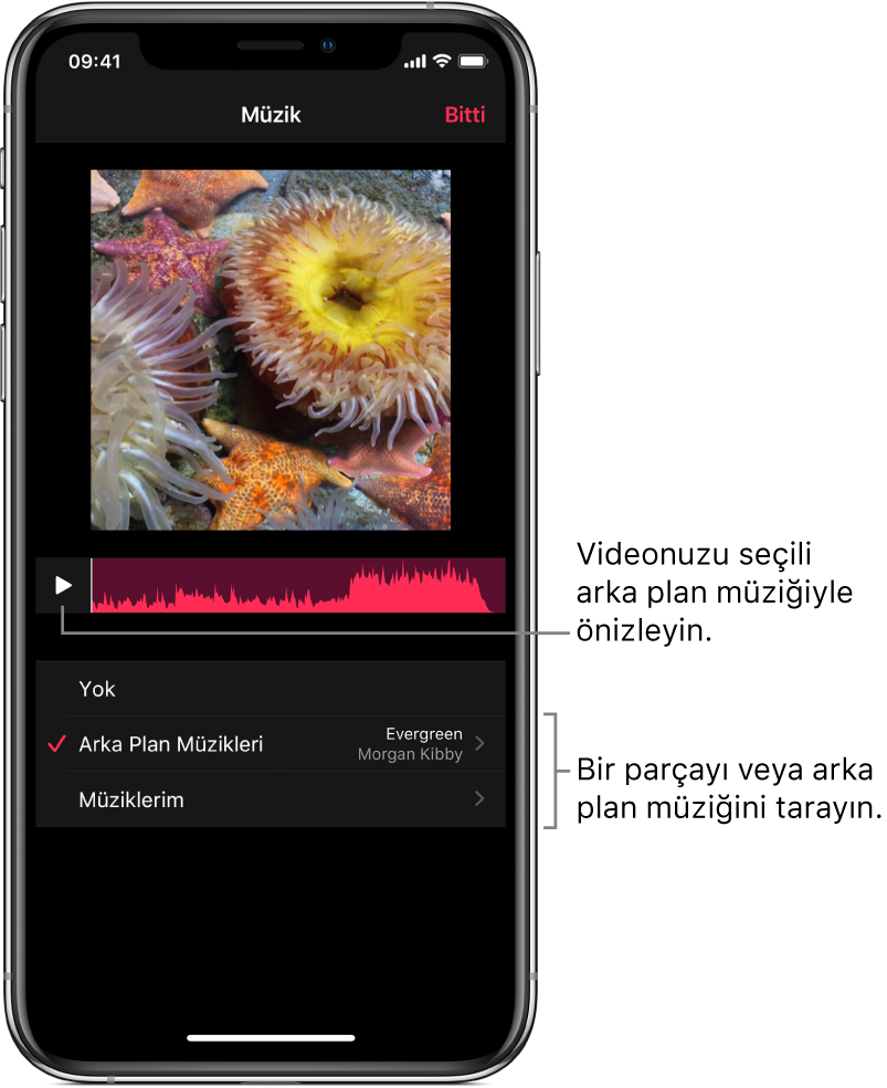 Arka plan müziği ya da müzik arşiviniz seçeneklerinin olduğu görüntüleyicide bir görüntünün altında oynatma düğmesi ve bir ses dalga biçimi.