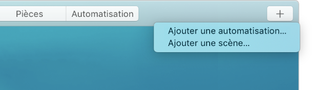 Le coin supérieur droit de l’écran Maison affichant Ajouter une automatisation et Ajouter une scène dans le menu.