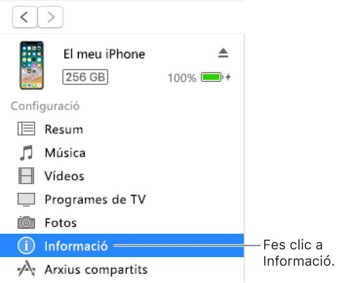 La finestra del dispositiu amb l’opció Informació seleccionada a la barra lateral de l’esquerra.
