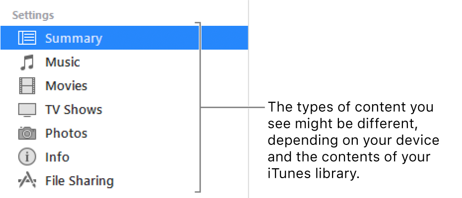 Summary is selected in the sidebar on the left. The types of content that appear might vary, depending on your device and the contents of your iTunes library.