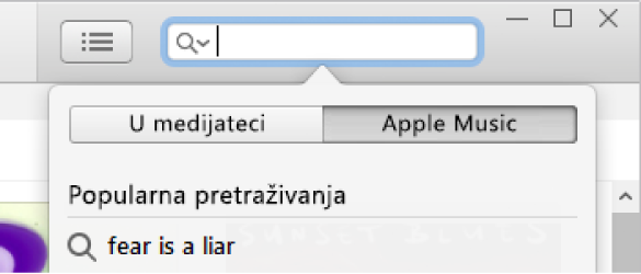 Polje za pretraživanje za Apple Music.