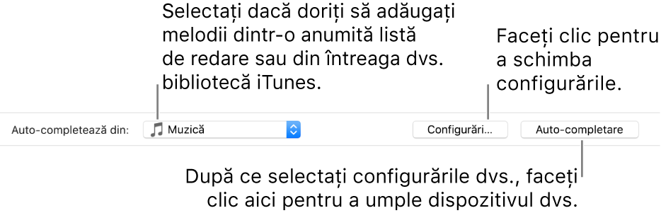 Opțiunile Auto-completare în partea de jos a panoului Muzică. În partea stângă extremă se află meniul pop-up Auto-completare, de unde puteți alege să adăugați melodii dintr-o listă de redare sau din întreaga dvs. bibliotecă. În partea dreaptă extremă se află două butoane – Configurări, pentru a schimba diverse opțiuni de Auto-completare, și Auto-completare. Când faceți clic pe Auto-completare, dispozitivul dvs. se completează cu melodiile care corespund criteriilor.