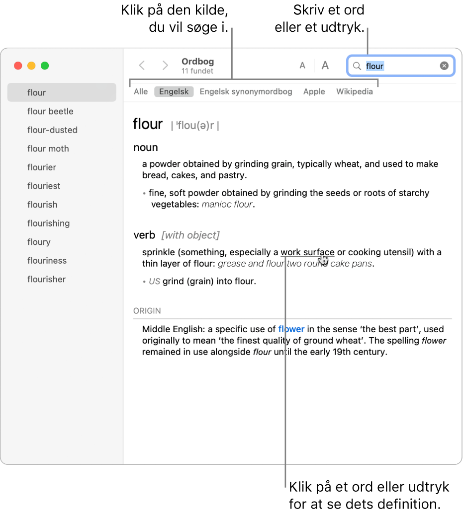 Hele ordbogsvinduet viser en definition. Klik på et ord eller udtryk i definitionen for at se dets definition. Du vælger en kilde, som du vil søge i, ved at vælge dens navn på kildelinjen under værktøjslinjen. Skriv et ord eller en frase i søgefeltet.