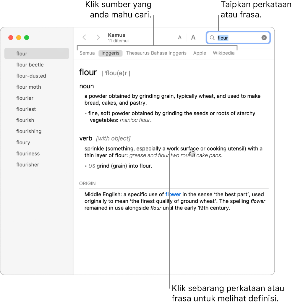 Tetingkap Kamus penuh menunjukkan definisi. Klik sebarang perkataan atau frasa dalam definisi untuk melihat definisinya. Untuk memilih sumber untuk dicari, klik pada namanya dalam bar alat, yang terletak di bahagian bawah bar alat. Taipkan perkataan atau frasa ke dalam medan carian.