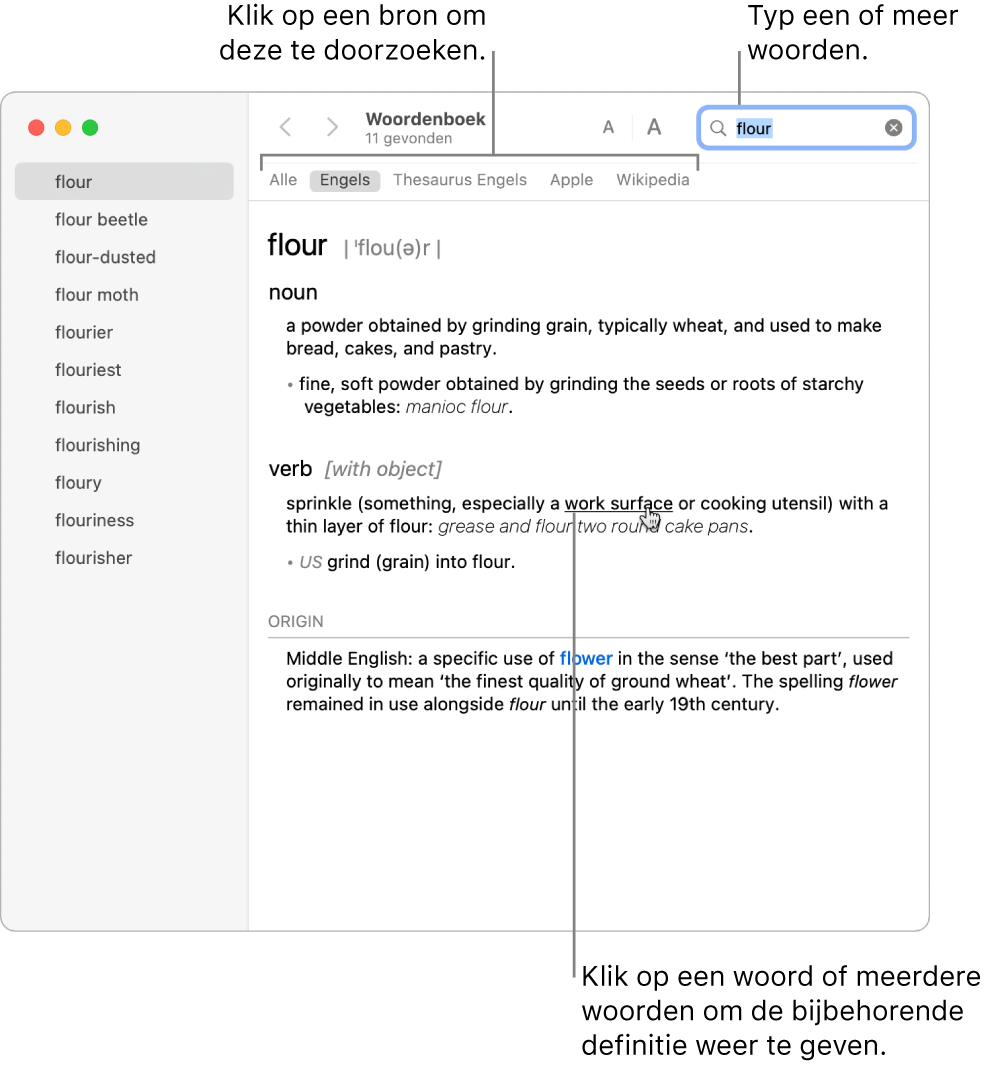 Het volledige Woordenboek-venster met een definitie. Klik op een of meer woorden in de definitie om de desbetreffende definitie weer te geven. Om een bron te doorzoeken, klik je op de naam van de bron in de bronbalk, onder de knoppenbalk. Typ een of meer woorden in het zoekveld.