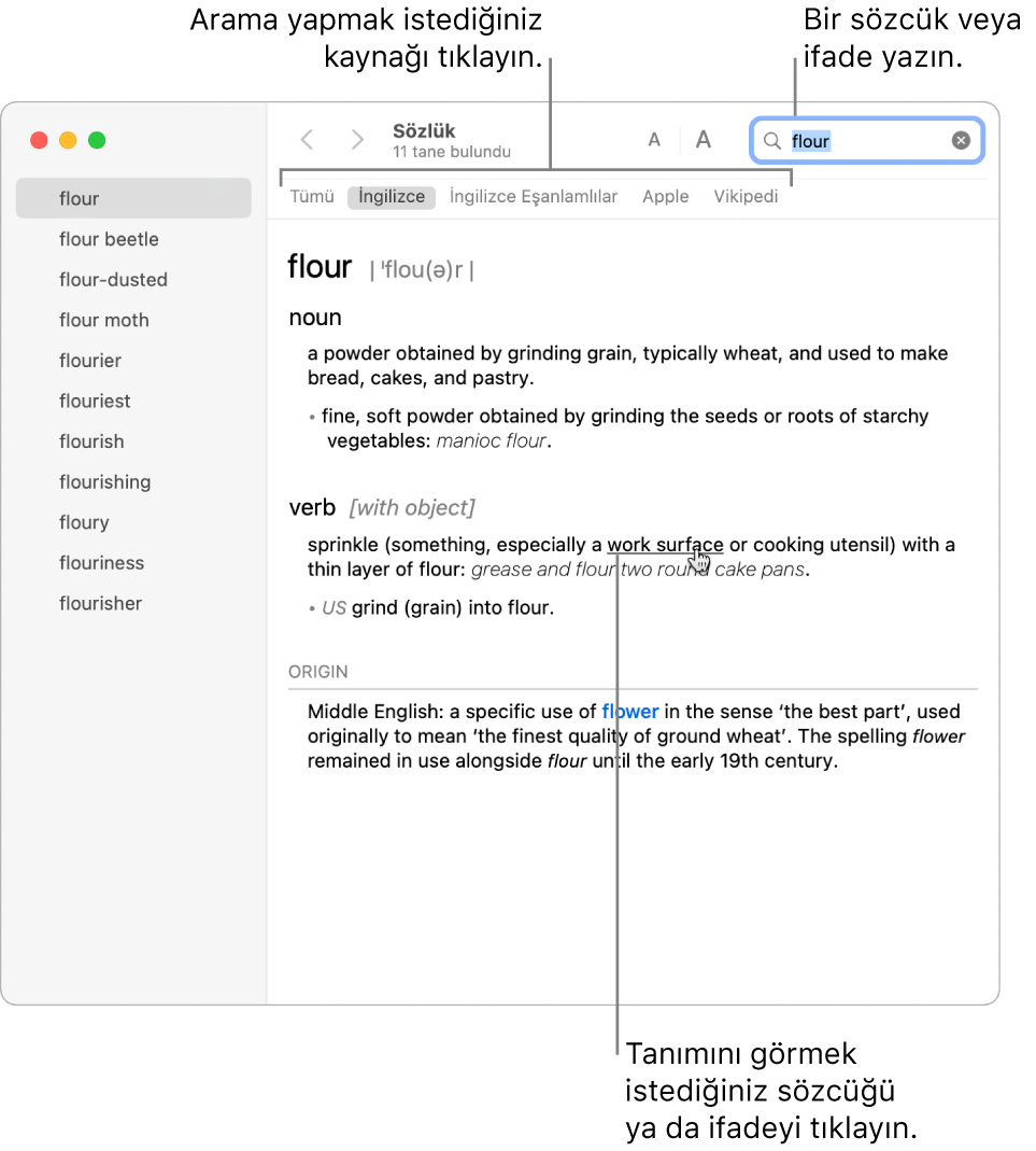 Bir tanım gösteren tam Sözlük penceresi. Tanımda yer alan bir sözcüğün ya da ifadenin tanımını görmek için o sözcüğü ya da ifadeyi tıklayın. Arama yapmak üzere bir kaynak seçmek için araç çubuğunun altındaki kaynak çubuğunda kaynağın adına tıklayın. Arama alanına bir sözcük veya sözcük öbeği yazın.