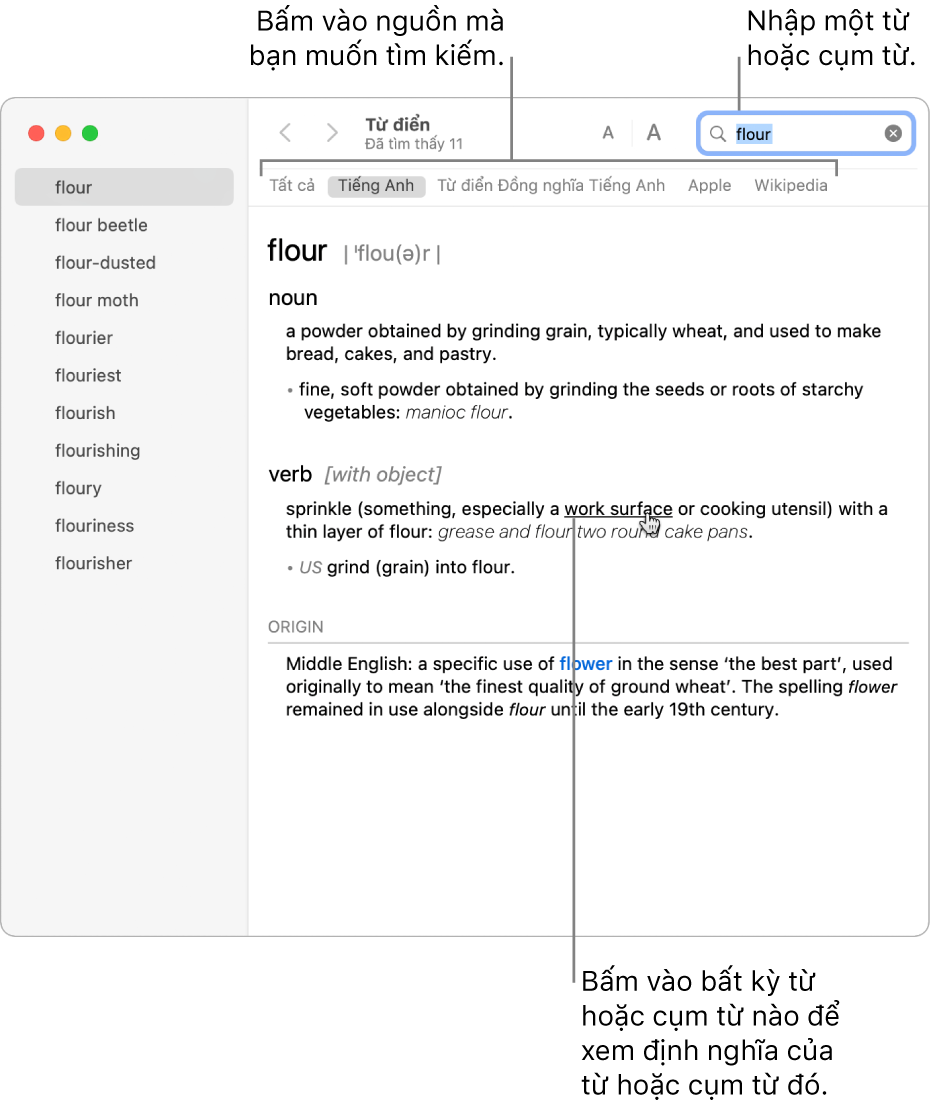 Toàn bộ cửa sổ Từ điển hiển thị một định nghĩa. Bấm vào bất kỳ từ hoặc cụm từ nào trong định nghĩa để xem định nghĩa của từ đó. Để chọn một nguồn để tìm kiếm, bấm vào tên của nguồn đó trong thanh nguồn bên dưới thanh công cụ. Nhập một từ hoặc cụm từ vào trường tìm kiếm.