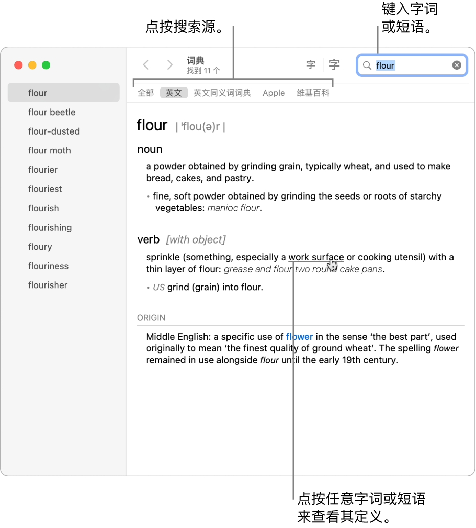 显示定义的完整“词典”窗口。点按定义中的任意词语或短语来查看其定义。若要选择搜索源，请点按来源栏（位于工具栏下方）中来源的名称。在搜索栏中键入词语或短语。