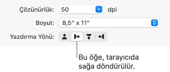 Tarayıcı penceresindeki Yazdırma Yönü düğmeleri. Vurgulanmış bir düğme, öğenin tarayıcıda sağa döndürüldüğünü belirtir.