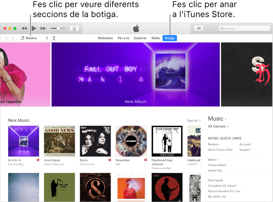 Finestra principal de l’iTunes Store: La botiga està ressaltada a la barra de navegació. Fes clic a la cantonada superior esquerra per veure els diferents continguts de la botiga (com ara Música o TV).