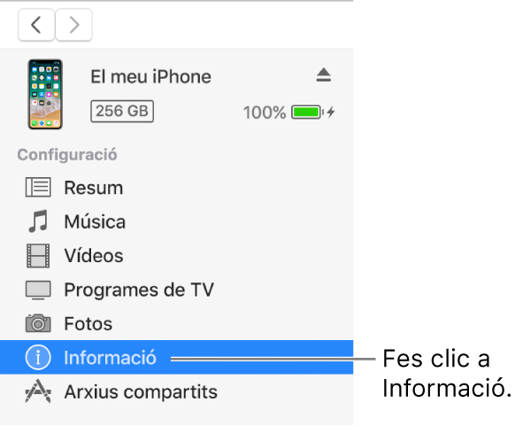 La finestra del dispositiu amb l’opció Informació seleccionada a la barra lateral de l’esquerra.