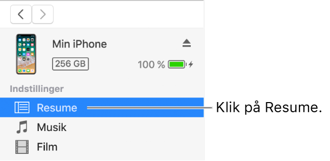 Enhedsvinduet med Resume valgt i indholdsoversigten til venstre.