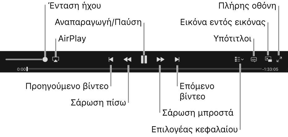 Χειριστήρια βίντεο: Ένταση ήχου, AirPlay, Προηγούμενο βίντεο, Σάρωση πίσω, Αναπαραγωγή/Παύση, Σάρωση μπροστά, Επόμενο βίντεο, Επιλογέας κεφαλαίου (για ταινίες μόνο), Υπότιτλοι, Εικόνας εντός εικόνας και Πλήρης οθόνη.