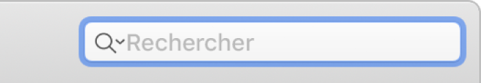 Le champ de recherche dans iTunes.