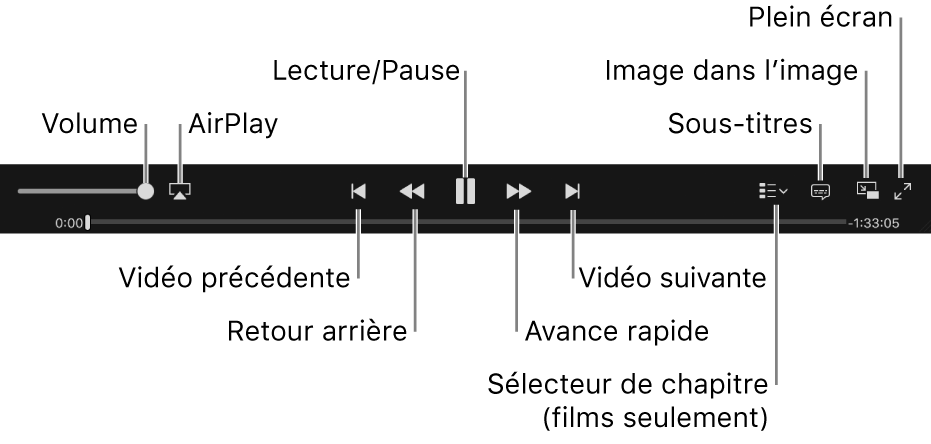 Commandes vidéo : Volume, AirPlay, vidéo précédente, retour, lecture/pause, avance, vidéo suivante, sélecteur de chapitre (pour les films uniquement), sous-titres, image dans l’image et plein écran.