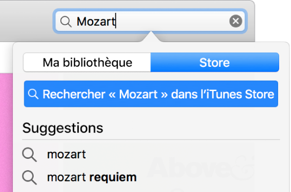 Le champ de recherche avec la requête « Mozart » saisie. Dans le menu local de l’emplacement, Store est sélectionné.