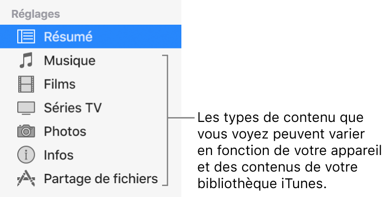 L’option Résumé est sélectionnée dans la barre latérale à gauche. Les types de contenu qui s’affichent peuvent varier en fonction de votre appareil et des contenus de votre bibliothèque iTunes.