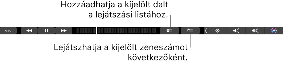 A Touch Bar zenei vezérlői és a kijelölt dalt egy lejátszási listához vagy a Következők listához hozzáadó gombok.