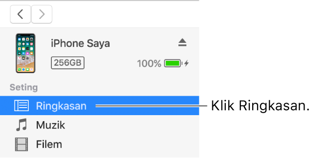 Tetingkap Peranti dengan Ringkasan dipilih dalam bar sisi di bahagian kiri.