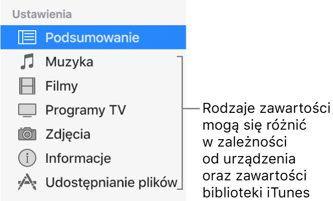 Na pasku bocznym po lewej zaznaczona jest pozycja Podsumowanie. Wyświetlane typy materiałów zależą od używanego urządzenia oraz zawartości biblioteki iTunes