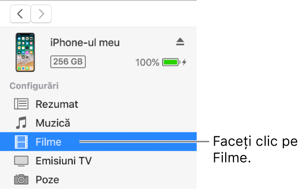 Fereastra Dispozitiv, cu secțiunea Filme selectată în bara laterală din stânga.