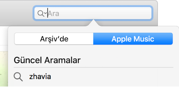 Apple Music için arama alanı.