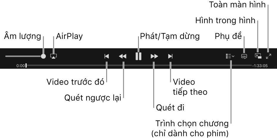Điều khiển video: Âm lượng, AirPlay, Video trước, Tua lại, Phát/Tạm dừng, Tua đi, Video sau, Bộ chọn chương (chỉ dành cho phim), Phụ đề, Hình trong hình và Toàn màn hình.
