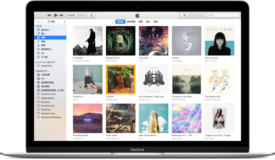 顯示多個專輯iTunes 視窗