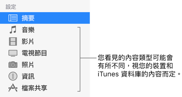 在左側側邊欄選取的摘要。顯示的內容類型可能有所不同，視您的裝置和 iTunes 資料庫中的內容而定。