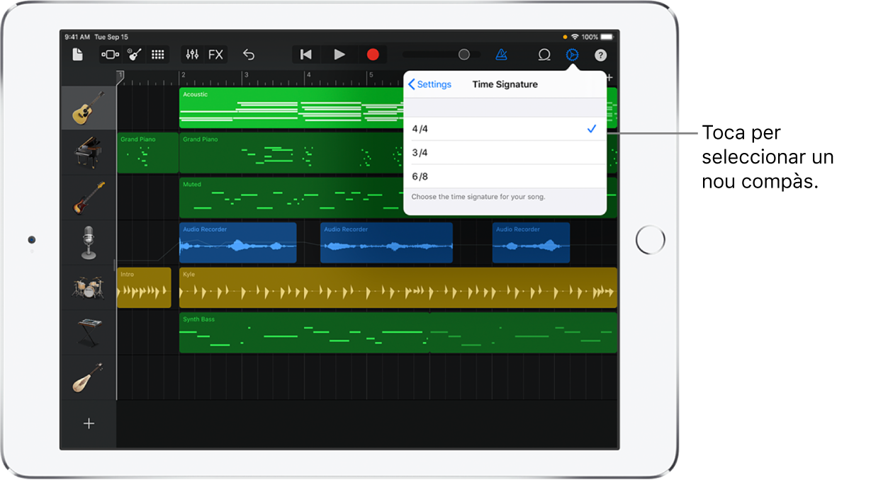 Configuració de cançó, inclosos els controls de compàs