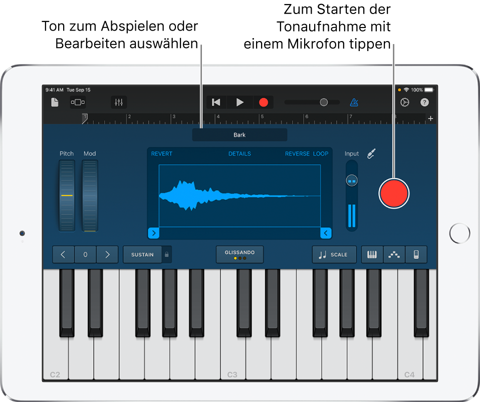 Touch-Instrument „Sampler“