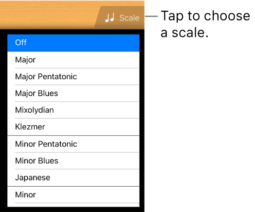 Guitar Scale button and scale list