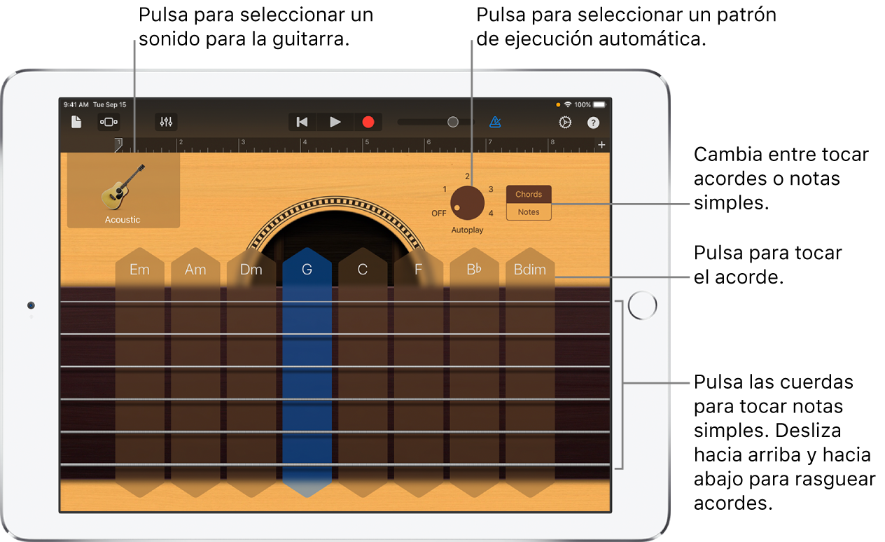 Instrumento táctil Guitarra