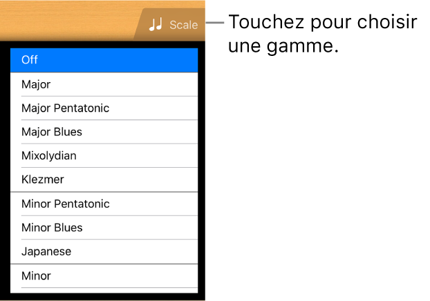 Bouton Gamme de guitare et liste de gammes