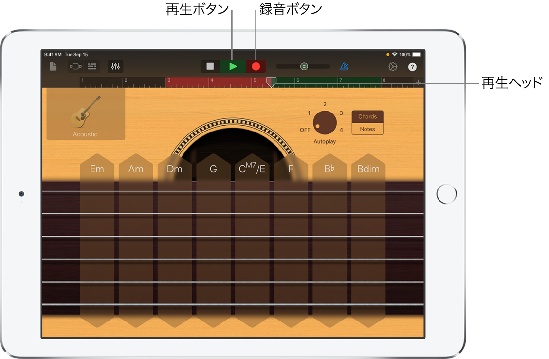 録音ボタンとルーラ。録音されたリージョンが表示されています