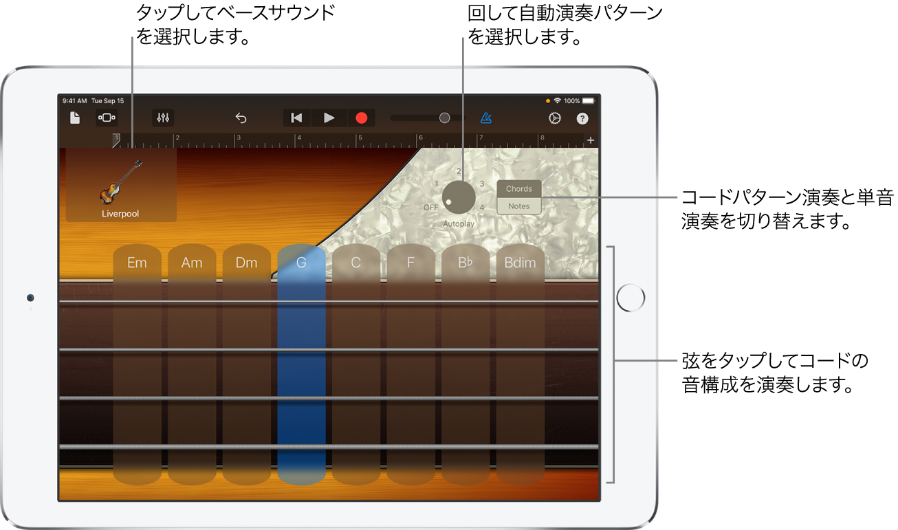 Bass Touch Instrument